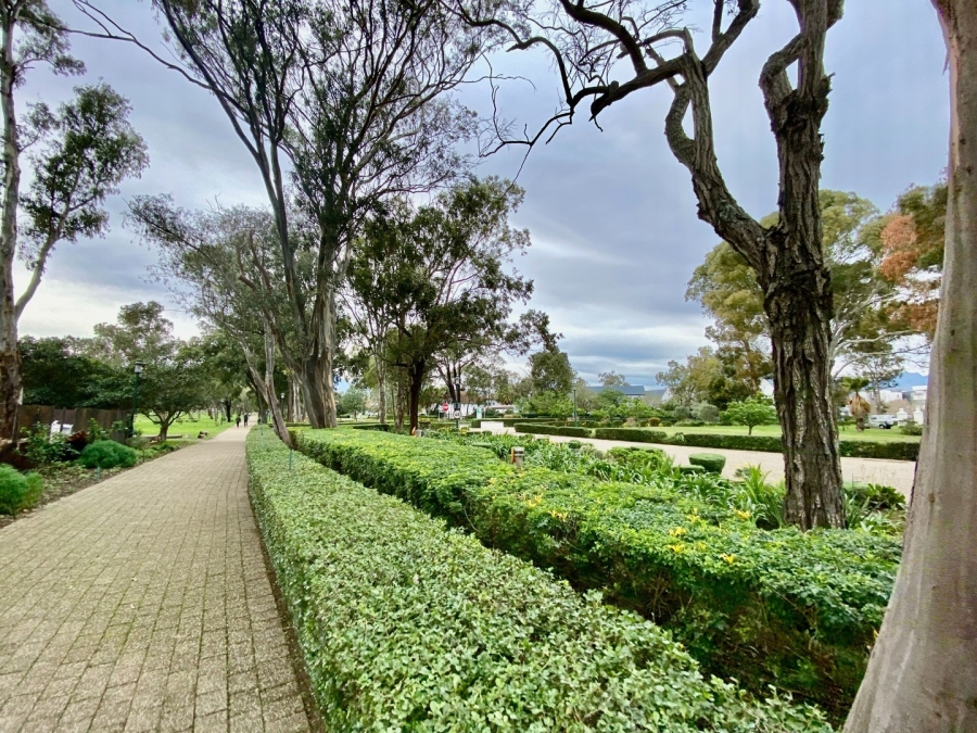 Commercial Property for Sale in Paardevlei Western Cape